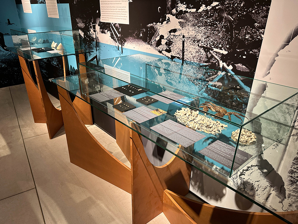 インターメディアテク「海の人類史 ― パイオニアたちの100万年」会場