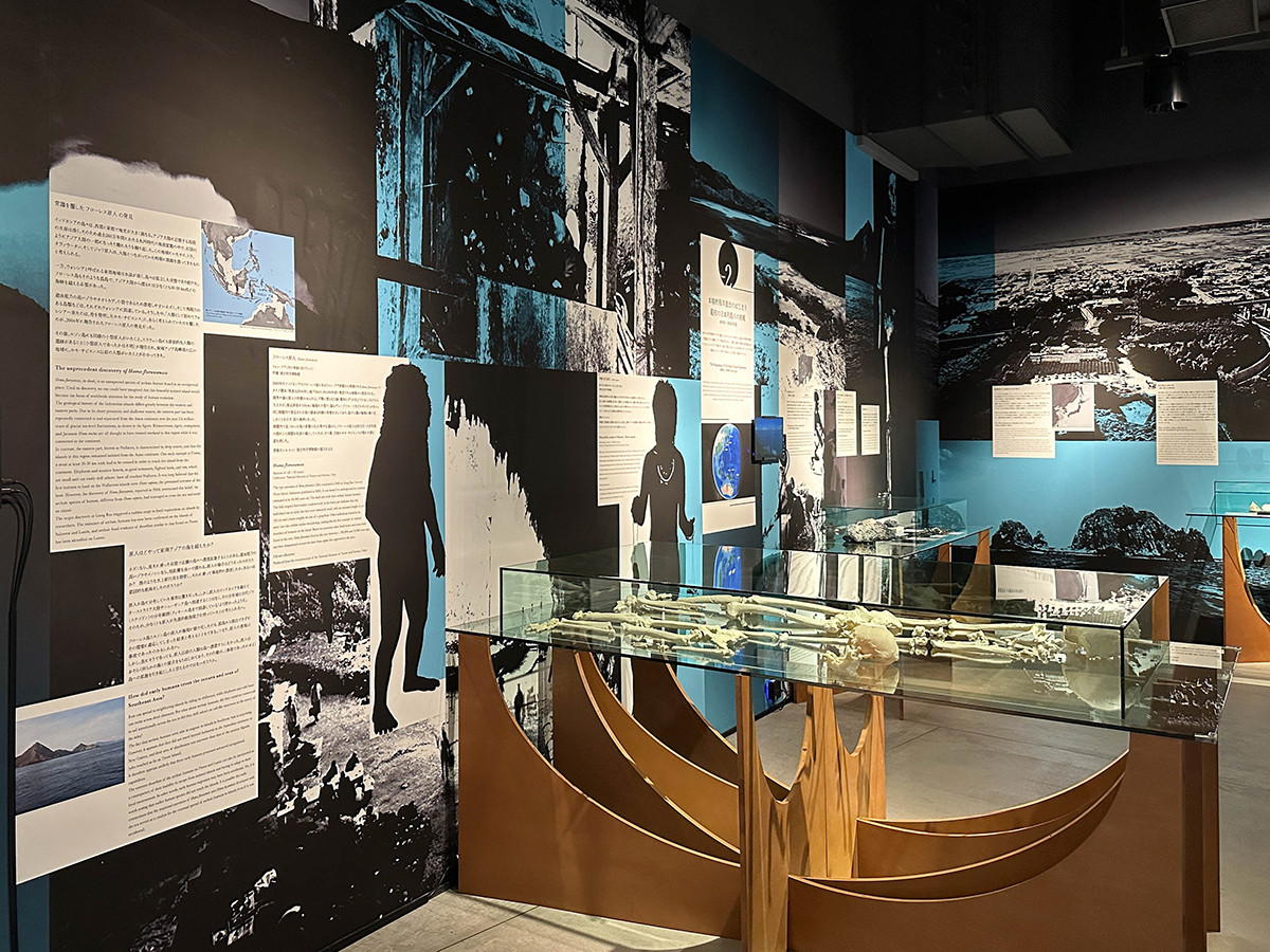 インターメディアテク「海の人類史 ― パイオニアたちの100万年」会場