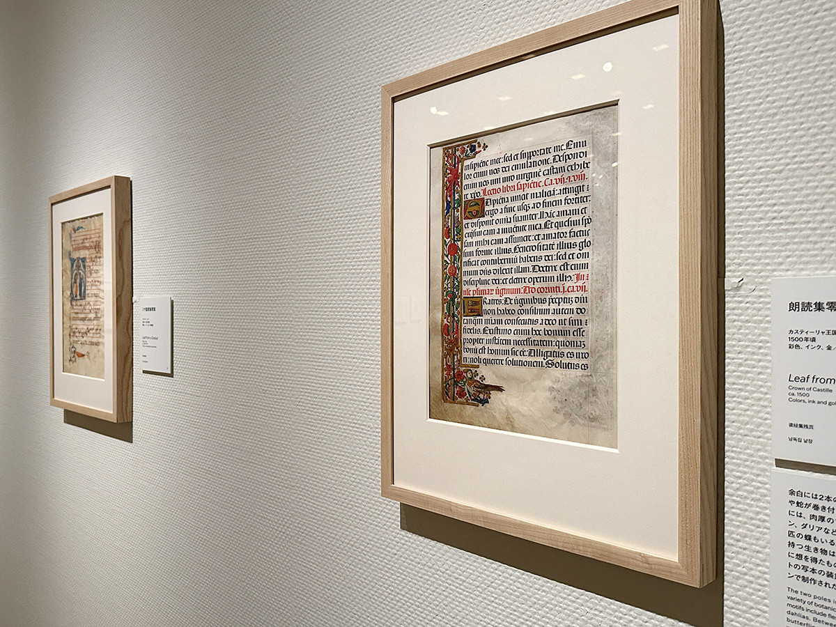 国立西洋美術館「内藤コレクション 写本 — いとも優雅なる中世の小宇宙」会場より (左右とも)ファストルフの画家(彩飾)《ミサ典礼書零葉》1430年頃 内藤コレクション