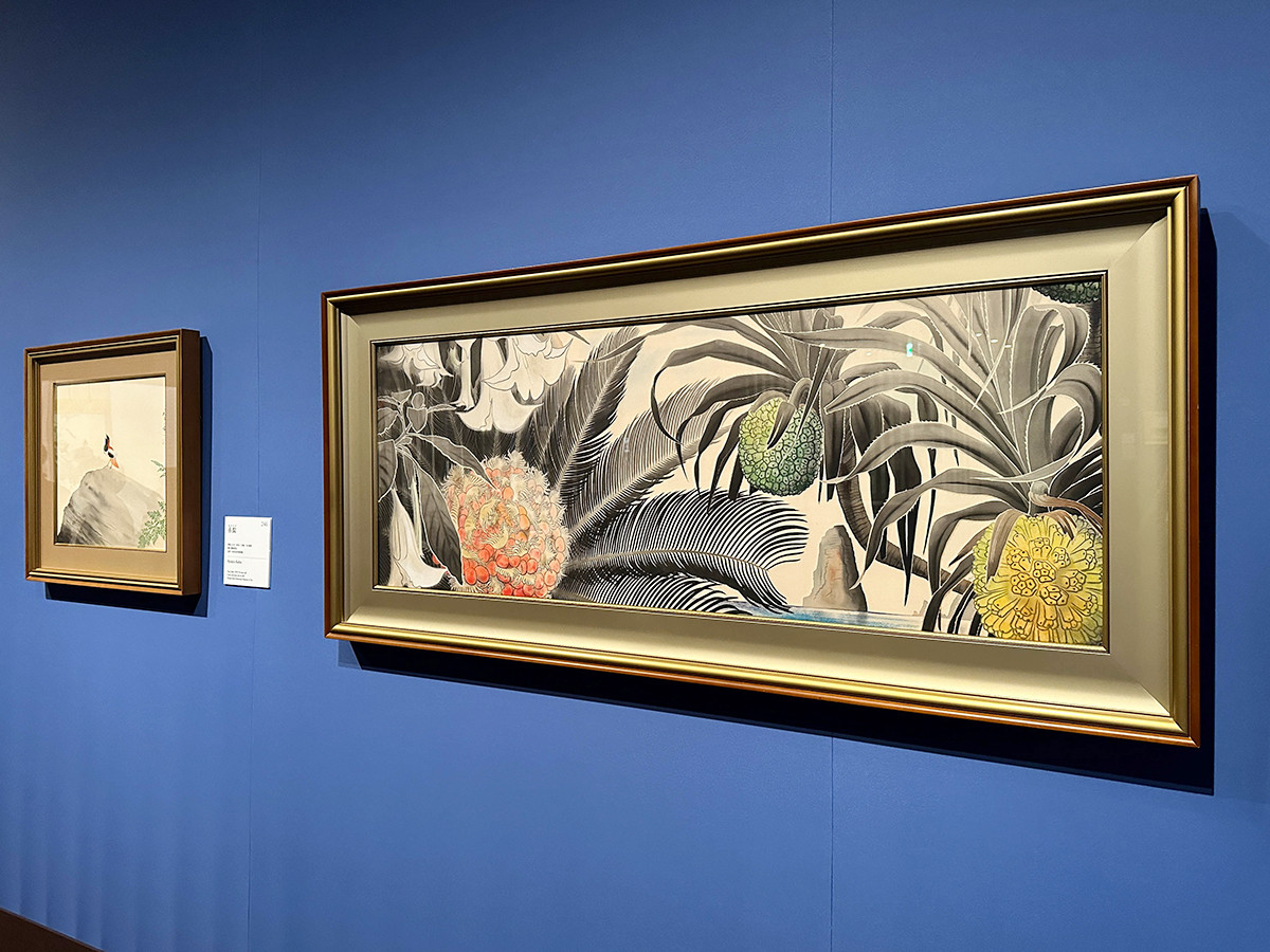 東京都美術館「田中一村展 奄美の光 魂の絵画」会場より (左から)《赤髭》昭和34年(1959)5月頃 田中一村記念美術館 / 《奄美の海に蘇鐵とアダン》昭和36年(1961)1月 田中一村記念美術館