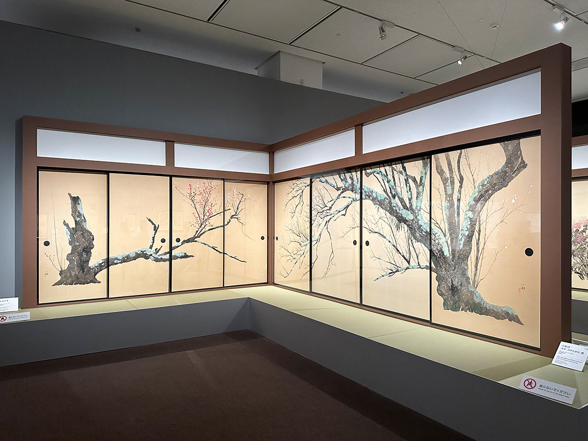 東京都美術館「田中一村展 奄美の光 魂の絵画」会場より 《白梅図》(裏面:四季花譜図)昭和33年(1958)