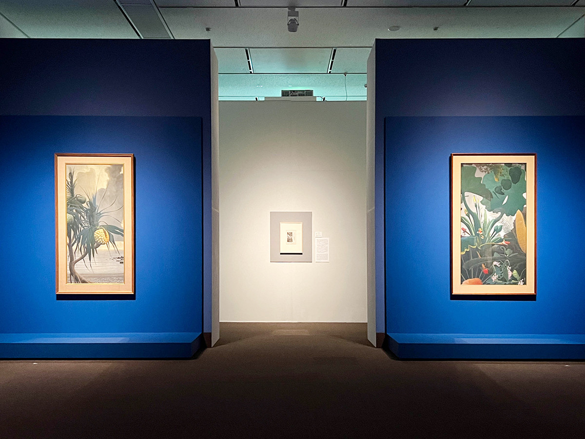 東京都美術館「田中一村展 奄美の光 魂の絵画」会場より (左)《アダンの海辺》昭和44年(1969) / (右)《不喰芋と蘇轍》昭和48年(1973)以前