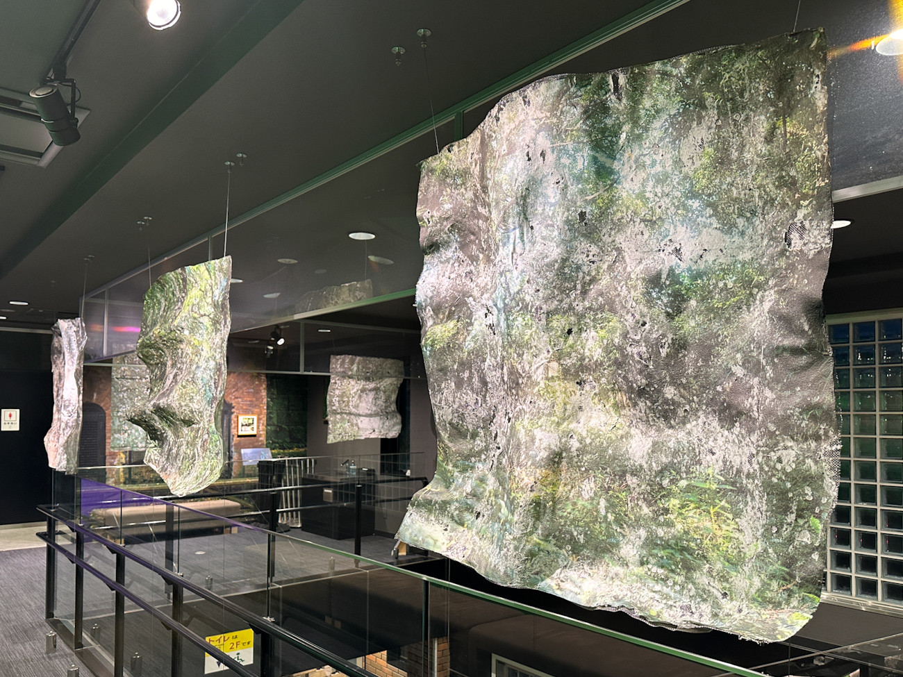 「SENSE ISLAND／LAND｜感覚の島と感覚の地 2024」会場より　LAND（汐入・横須賀中央エリア）　松原茉莉（TOKYO PHOTOGRAPHIC RESEARCH）《木霊のように、空気を掬（むす）ぶ》
