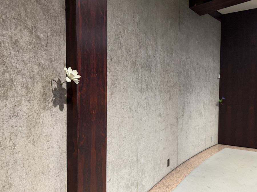 渋谷区立松濤美術館「須田悦弘展」会場