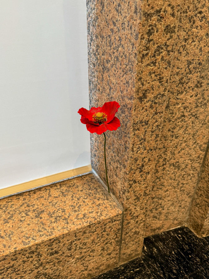 渋谷区立松濤美術館「須田悦弘展」会場