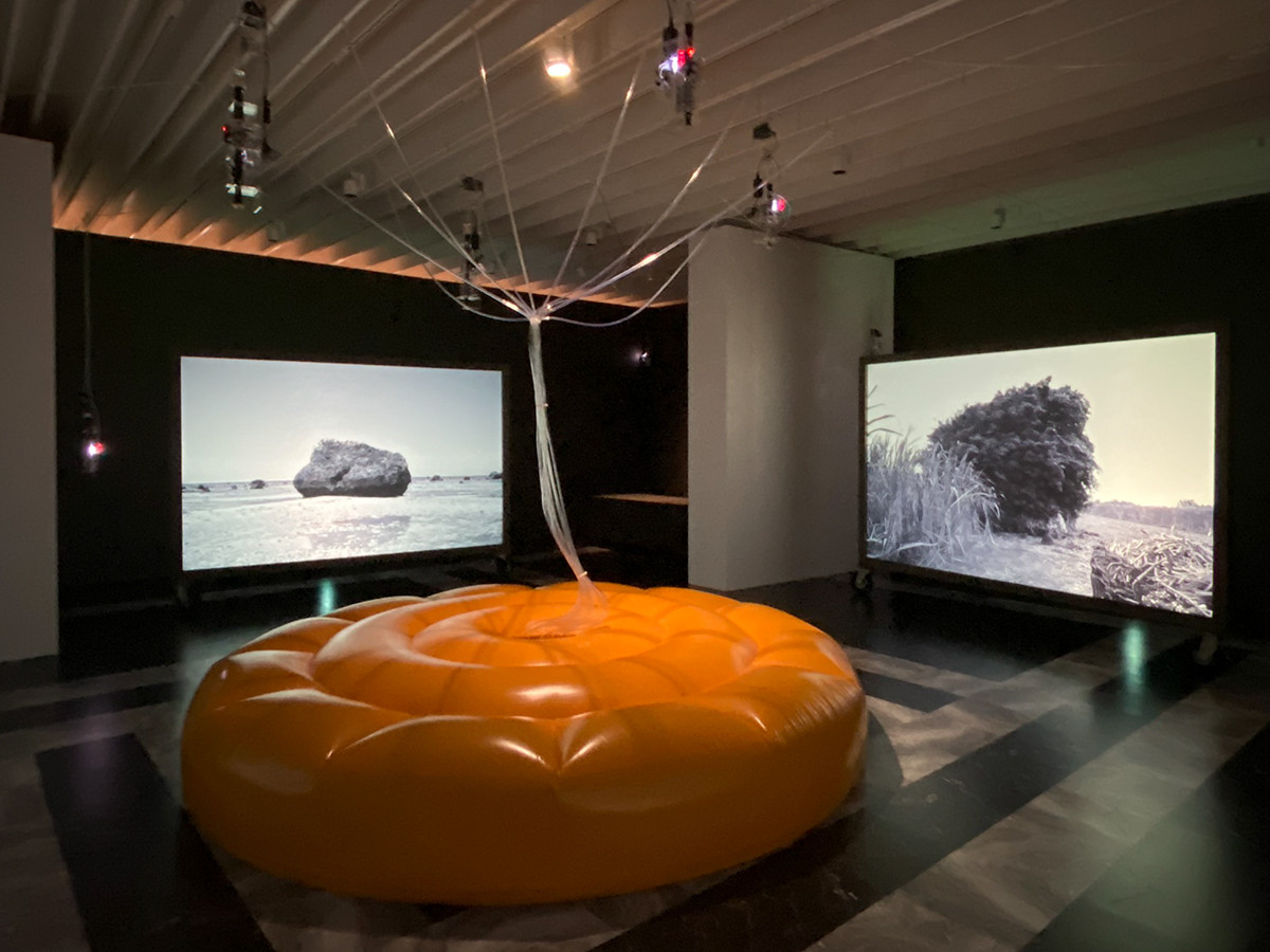 Cosmo-Eggs | 宇宙の卵