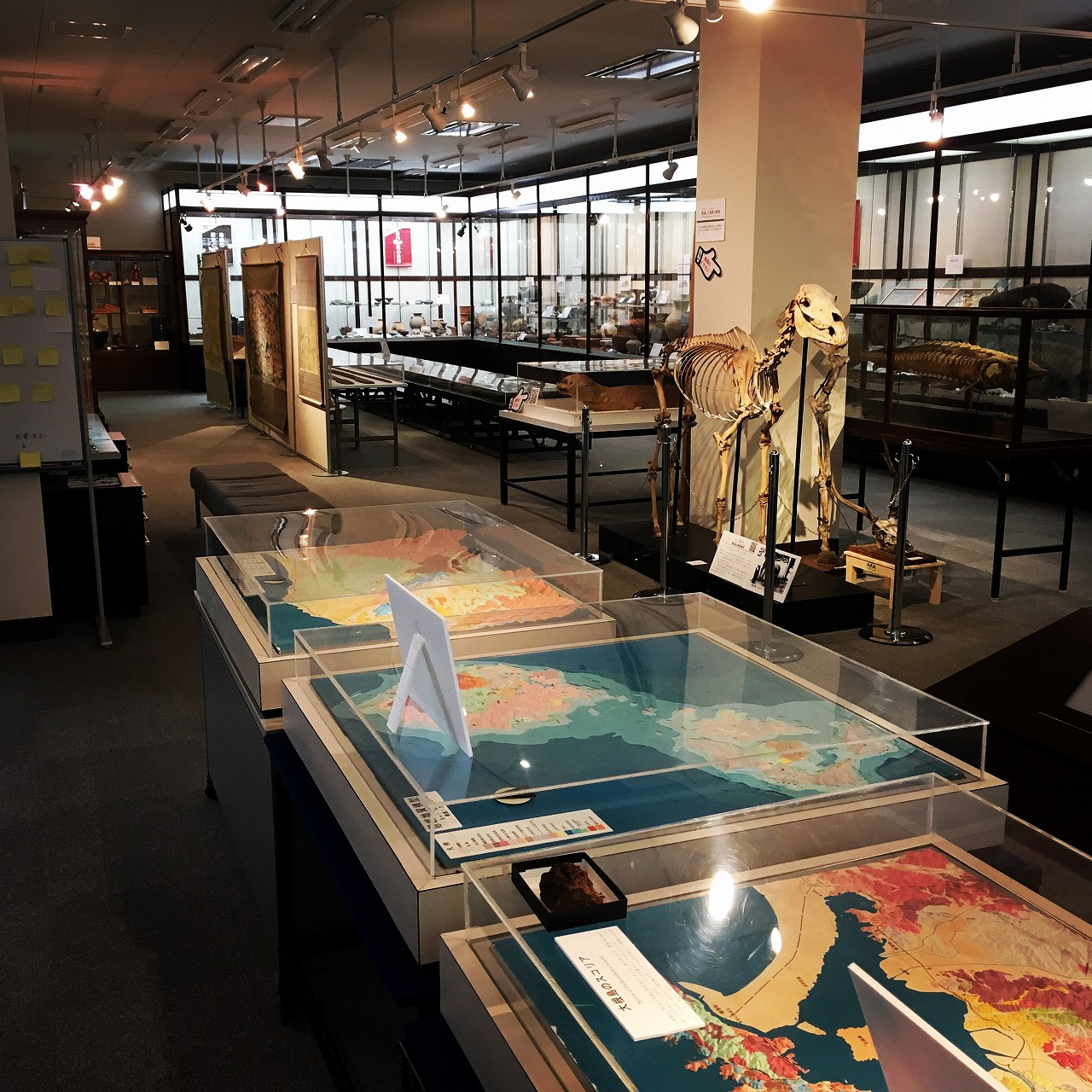 令和６年度アシカル講座第１ステージ「島根の『日本遺産』を学ぶ」