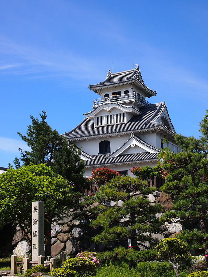 浅井長政と菩提寺・養源院－浅井三代の興亡と江戸時代へ続く浅井氏の系譜－