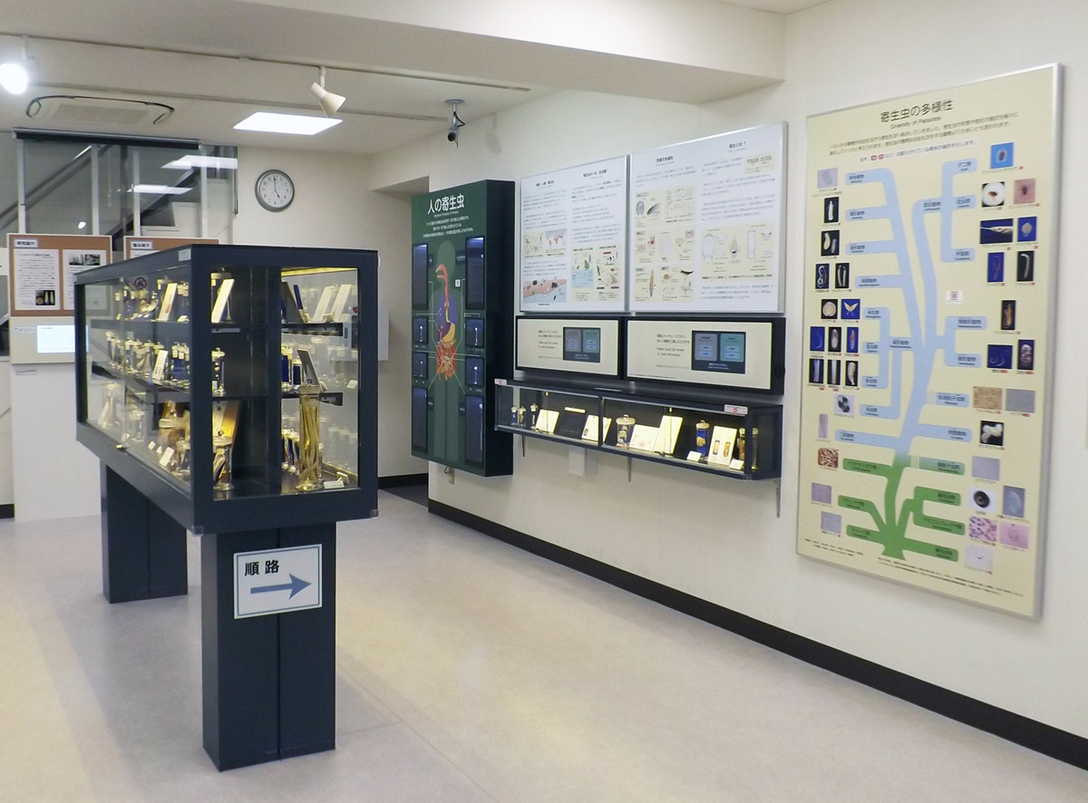 顧みられない熱帯病と暮らす人びと