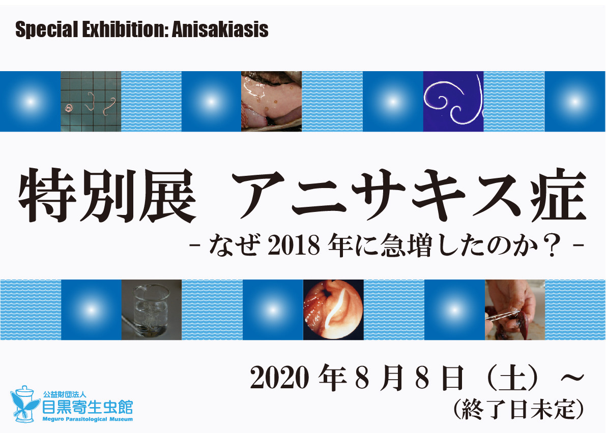 特別展 アニサキス症 インターネットミュージアム