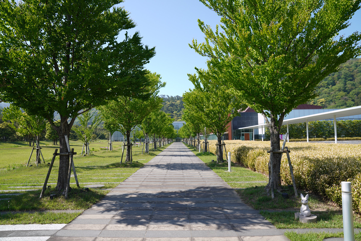 古代出雲歴史博物館　企画展「荒神谷発見！－出雲の弥生文化－」