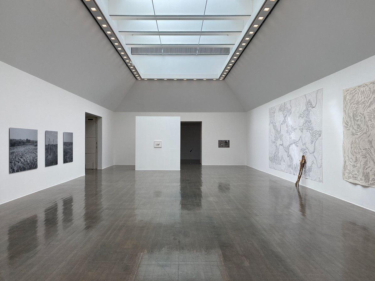 道草展：未知とともに歩む