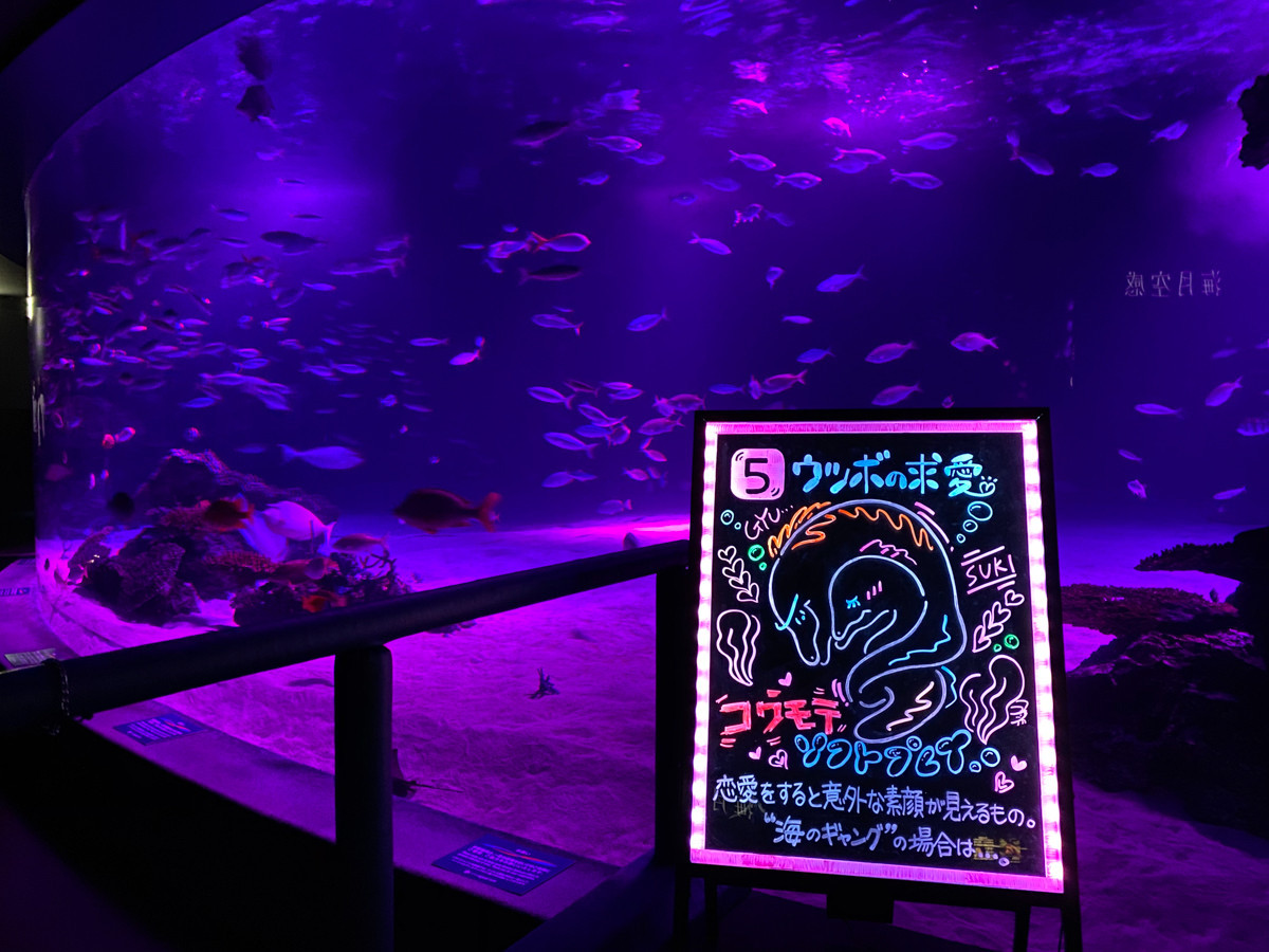 「性」にフォーカスした夜間特別イベント ― サンシャイン水族館