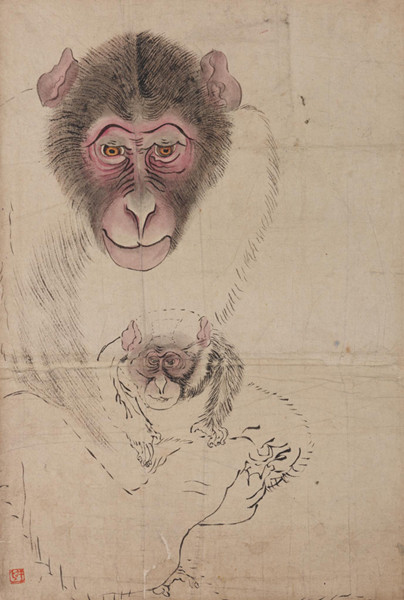 《動植物画稿（猿）》
