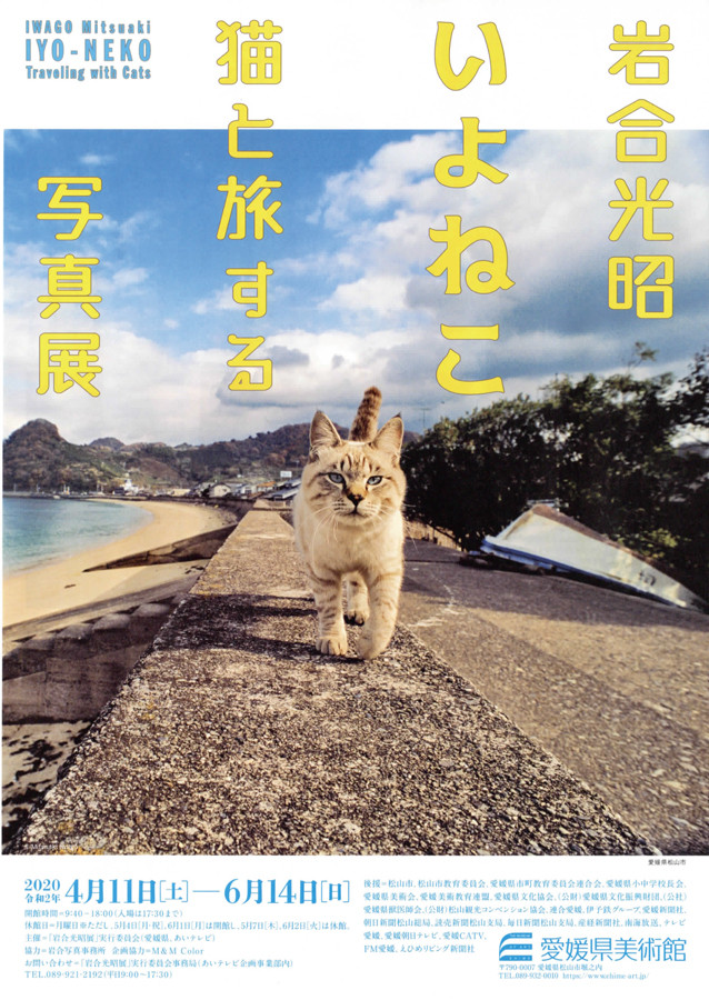 岩合光昭　いよねこ　猫と旅する写真展