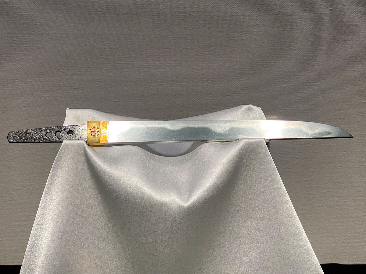 新・私は画家2020年11月根津美術館の国宝、重要文化財樹木と漆と暮し展十時啓悦 ― 樹木と漆と暮らし福村龍哉展「日向正宗」と武将の美鉄道写真家、南正時作品展ー蒸気機関車のある風景久保浩「眼と手」の力138光年 宇宙の旅桃山 天下人の100年ー予約制ー青森犬、、青森県立美術館河鍋暁斎の底力