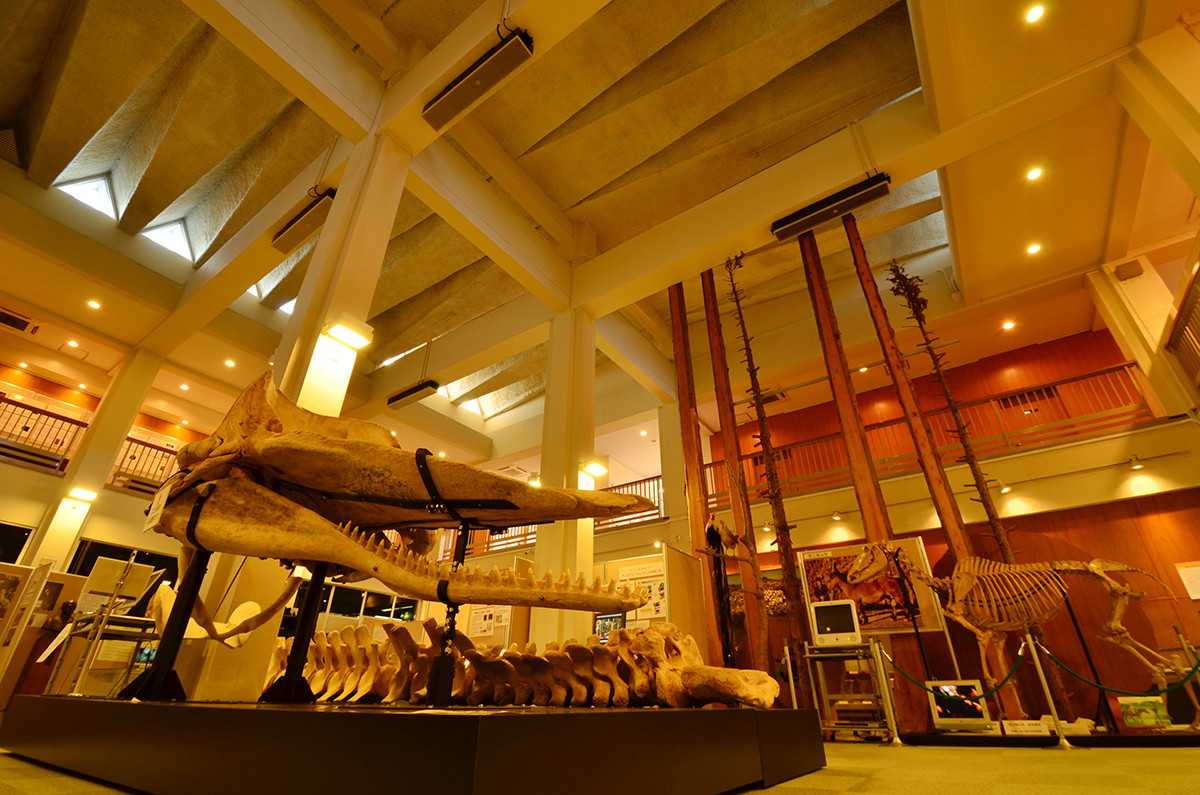 岐阜大・名古屋大　博物館コラボ展