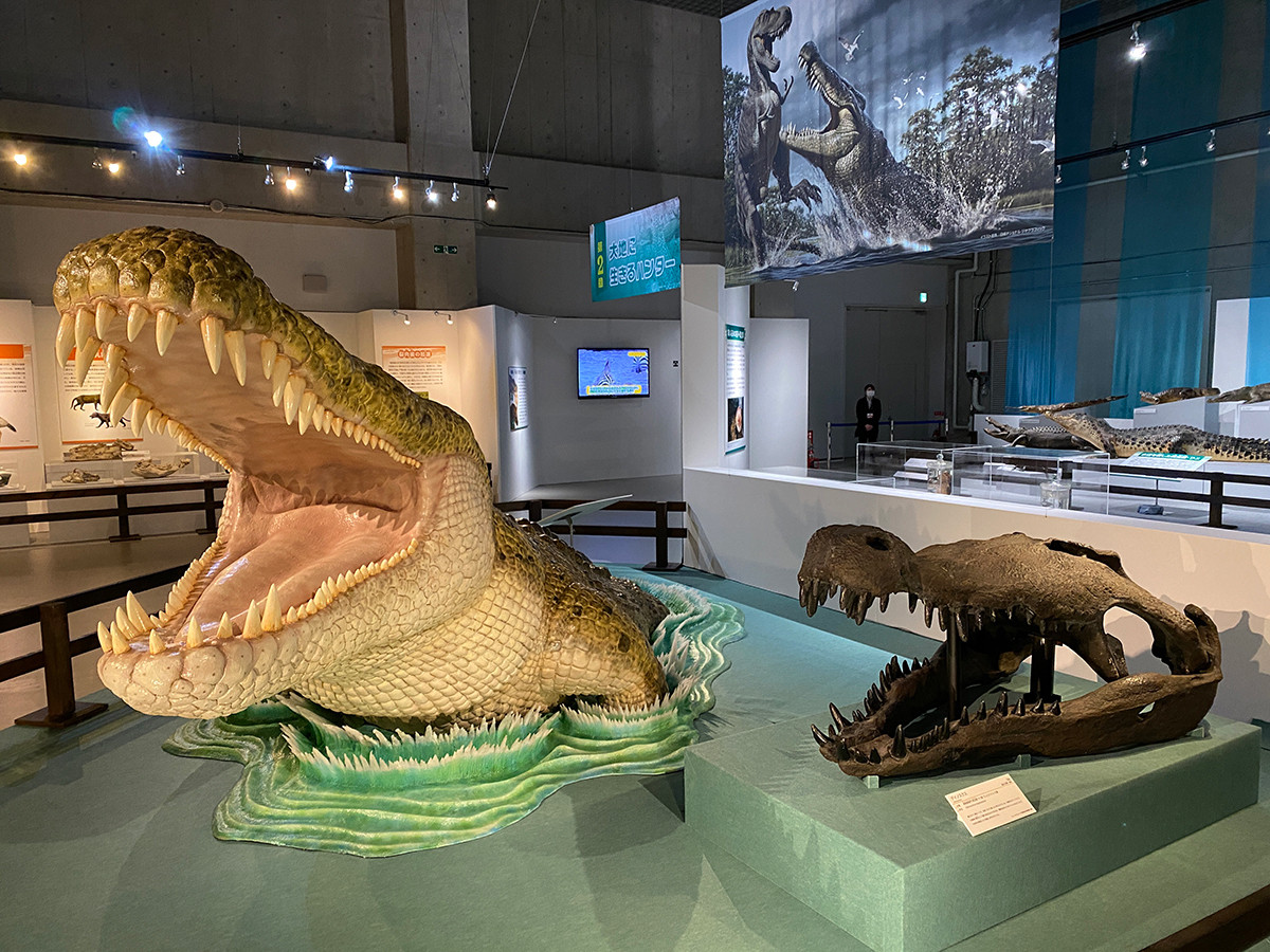 ティラノサウルスを食べる巨大ワニも 国立科学博物館で 大地のハンター展 ニュース アイエム インターネットミュージアム ティラノサウルスを食べる巨大ワニも 国立科学博物館で 大地のハンター展 ニュース アイエム インターネットミュージアム