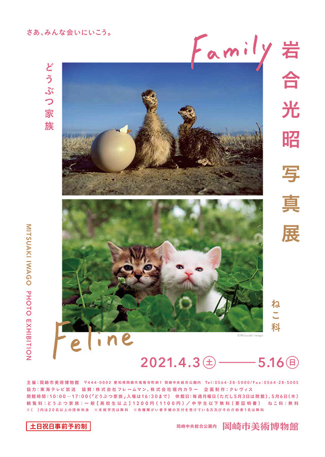 岩合光昭写真展　どうぶつ家族 ねこ科