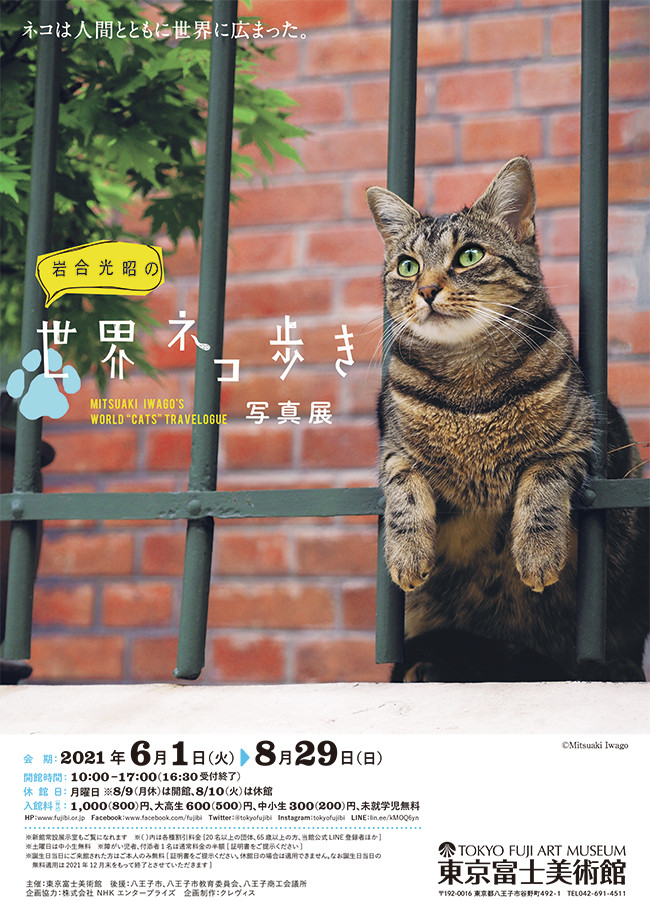 写真展 岩合光昭の世界ネコ歩き 展覧会 アイエム インターネットミュージアム