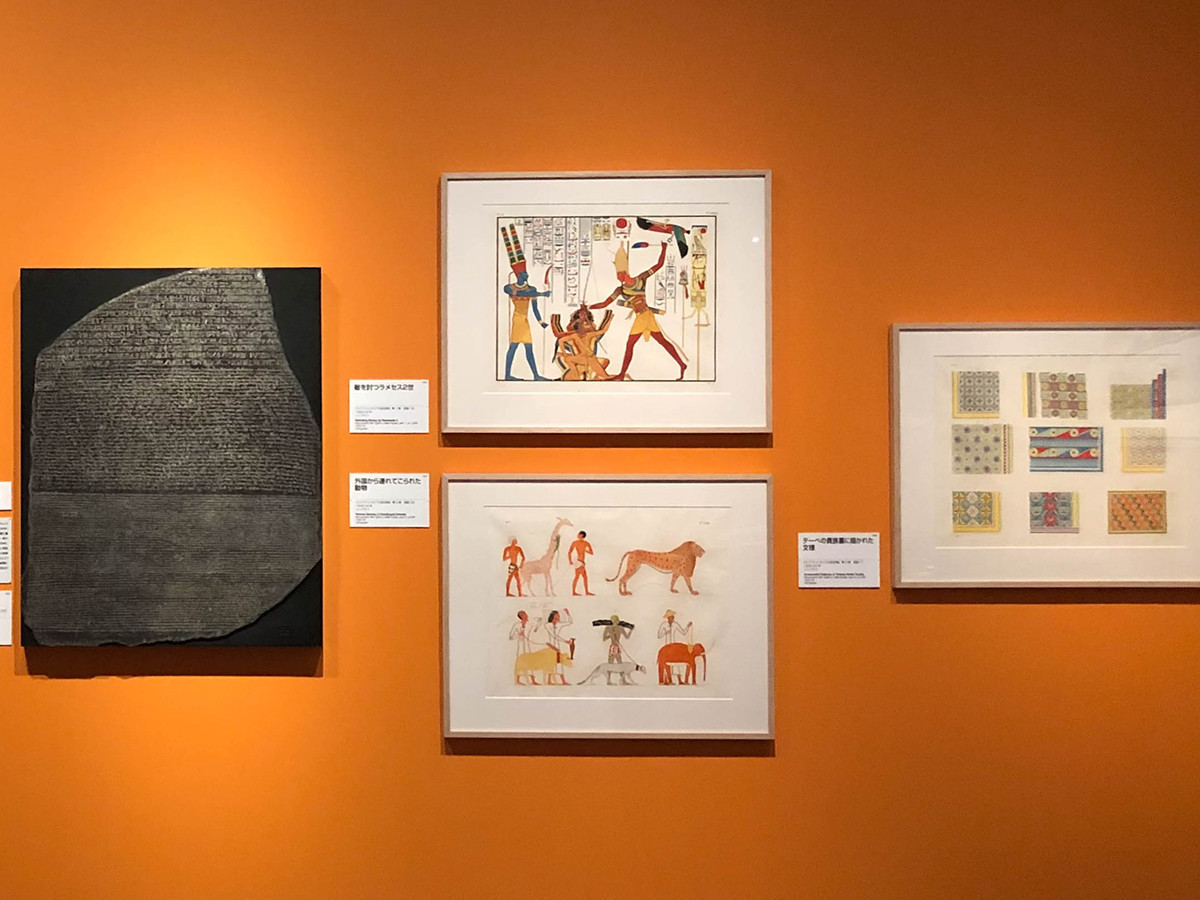 ライデン国立古代博物館所蔵 古代エジプト展 美しき棺のメッセージ