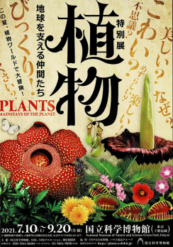 植物　地球を支える仲間たち