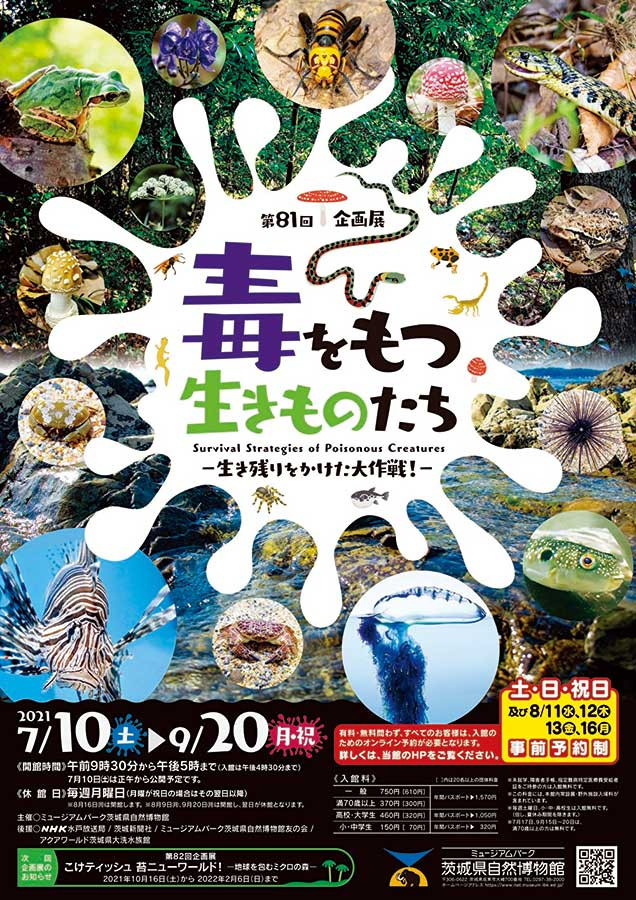 毒をもつ生きものたち 生き残りをかけた大作戦