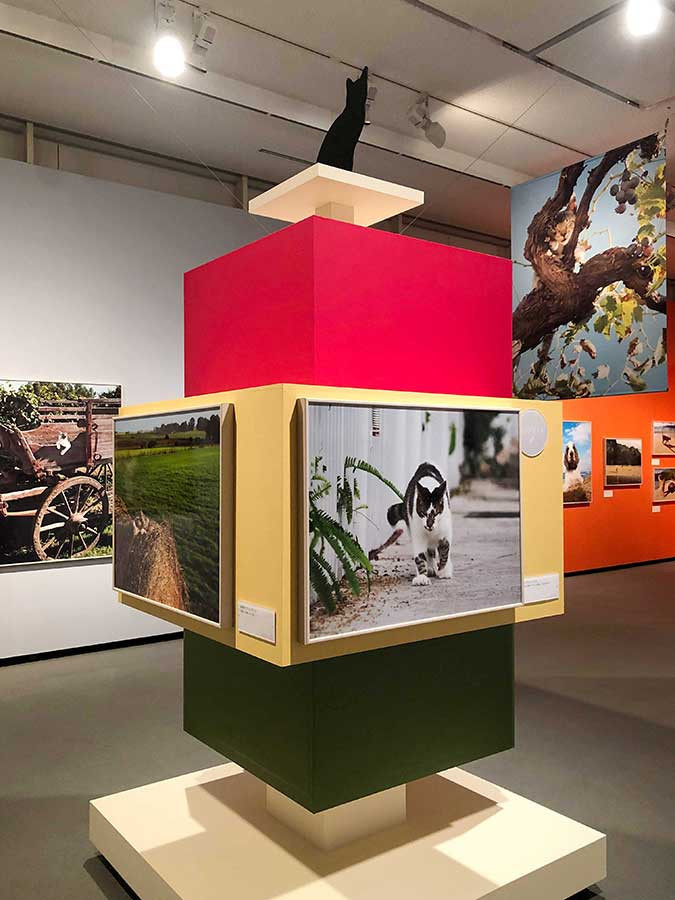 写真展　岩合光昭の世界ネコ歩き