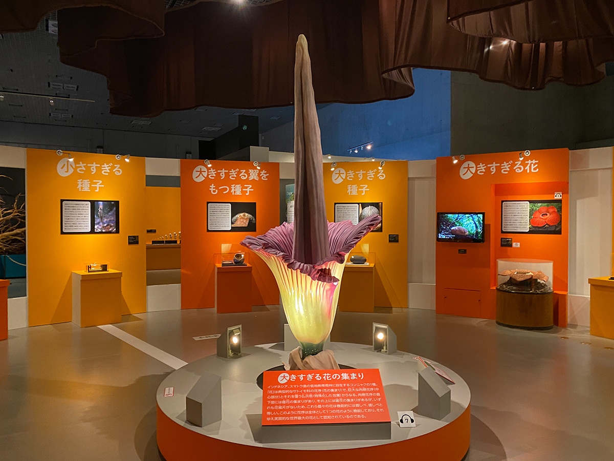 植物　地球を支える仲間たち