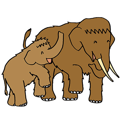 パオとナウママ（倉敷市立自然史博物館）