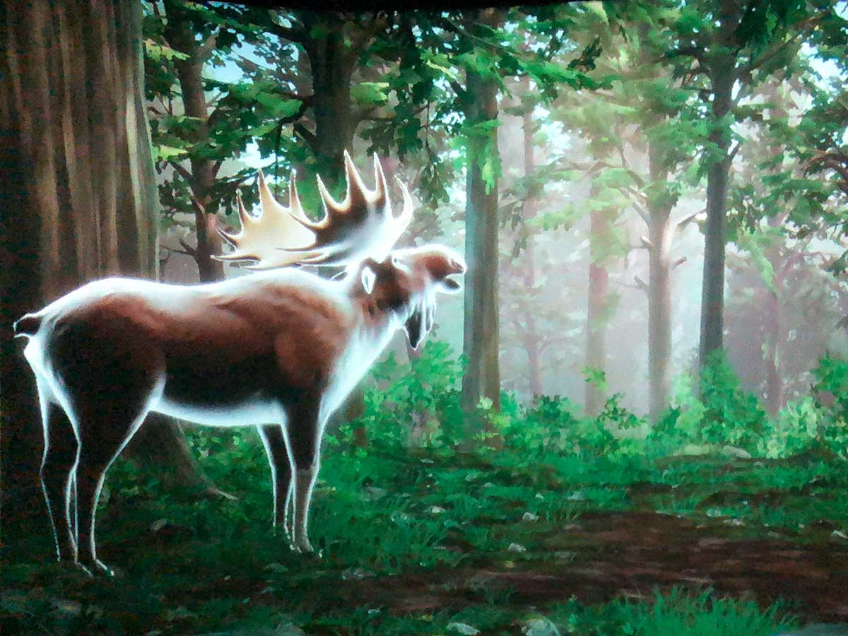 「ZUKAN MUSEUM GINZA powered by 小学館の図鑑NEO」がオープン