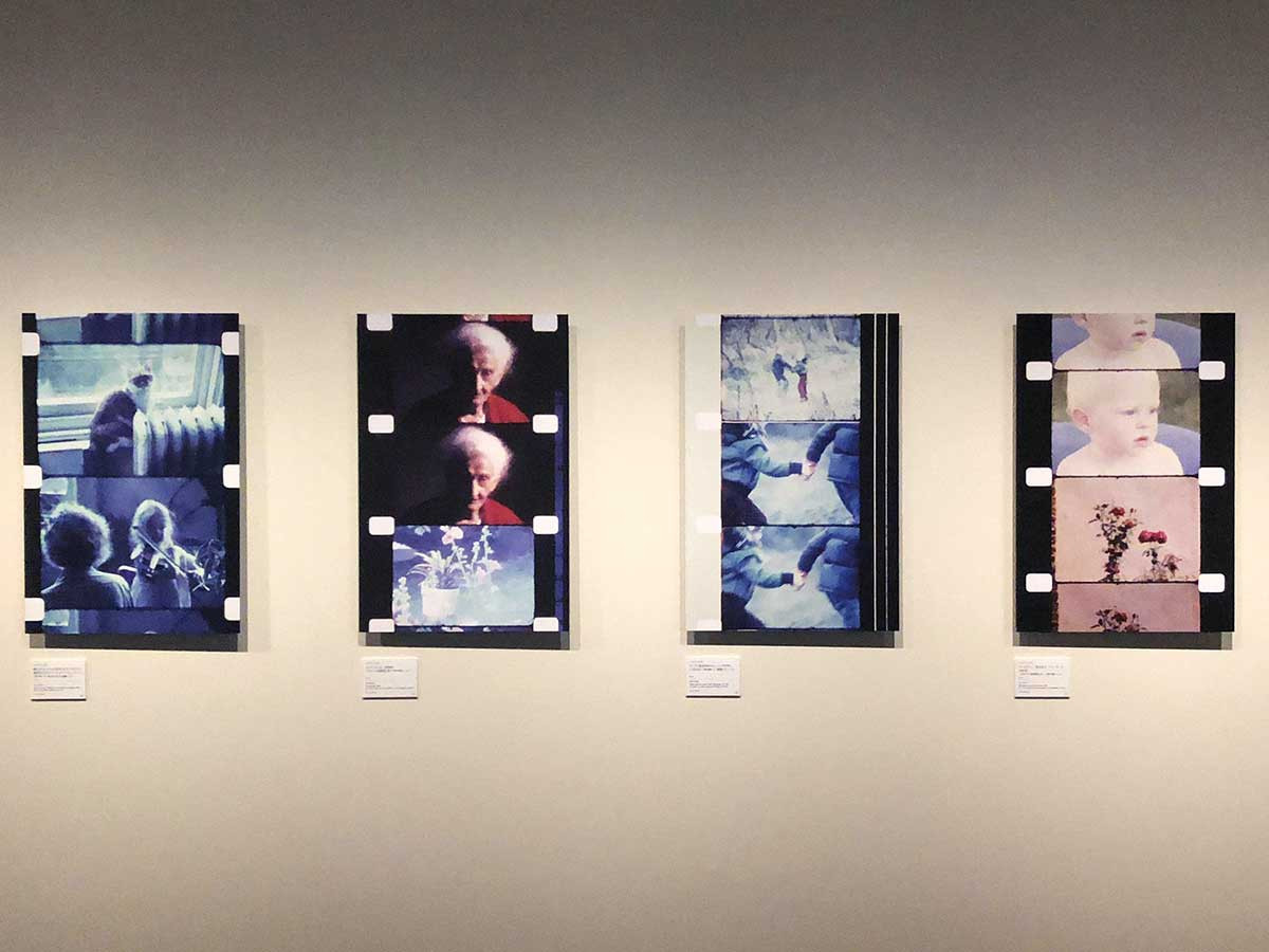 Walls & Bridges 世界にふれる、世界を生きる