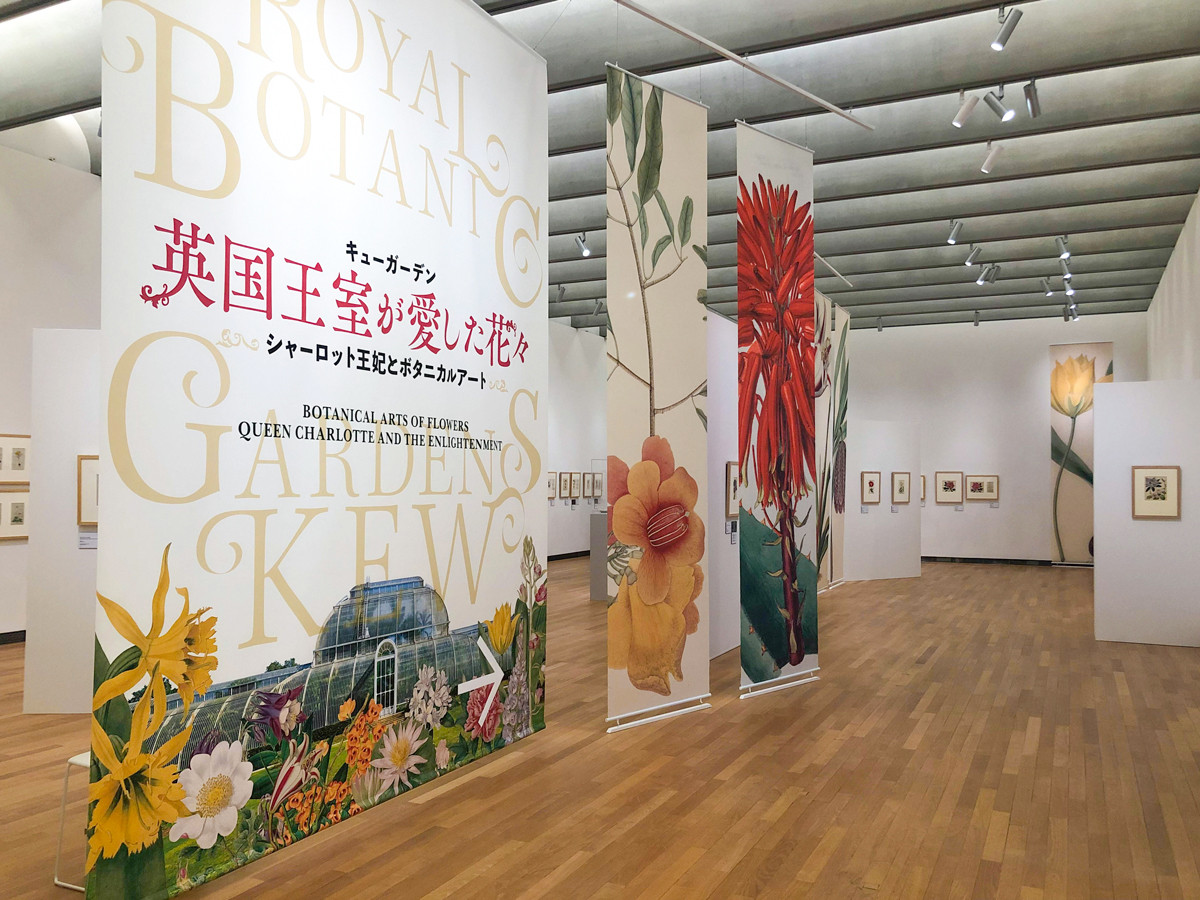 キューガーデン　英国王室が愛した花々
