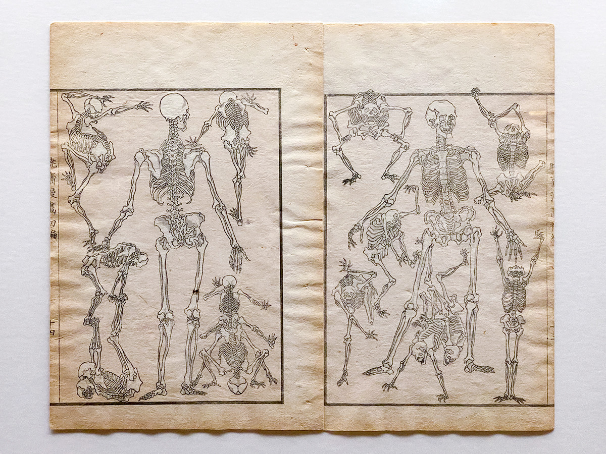 河鍋暁斎　― 躍動する絵本