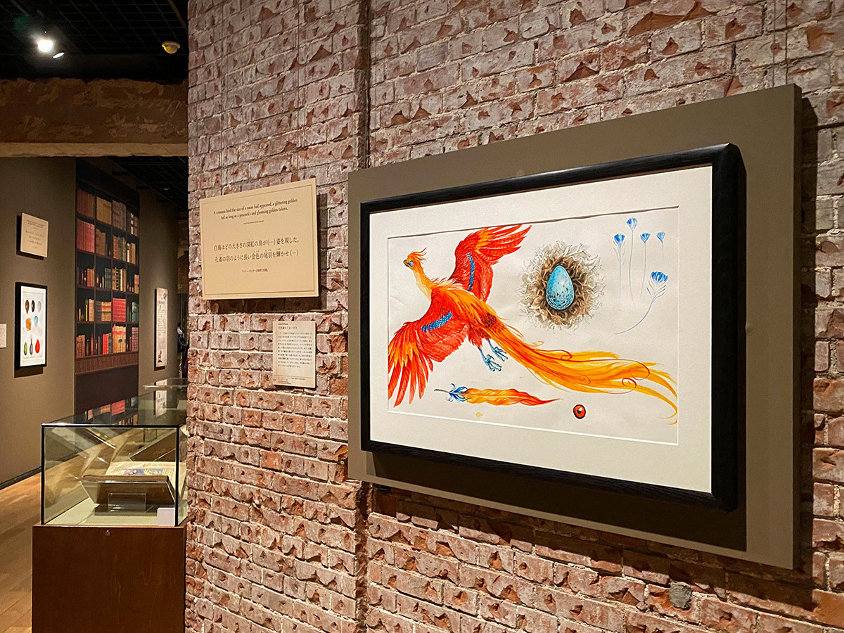 ハリー・ポッターと魔法の歴史