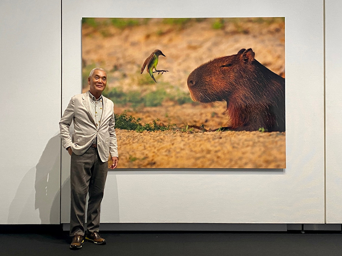 岩合光昭が野生動物の生態に迫る ― 東京都写真美術館