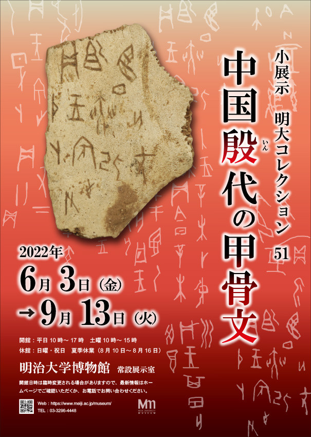 明大コレクション51「中国殷代の甲骨文」 | 展覧会 | アイエム