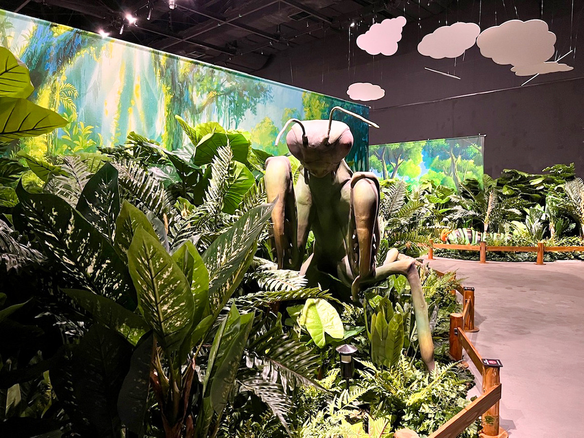 ファーブル昆虫記の世界が展覧会に ─ ギャラリー アーモ