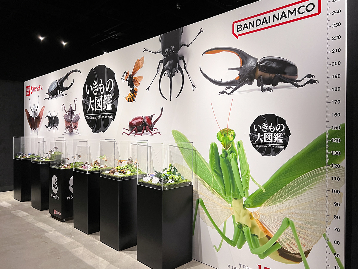 ファーブルに学ぶ!体感する昆虫展 TOKYO