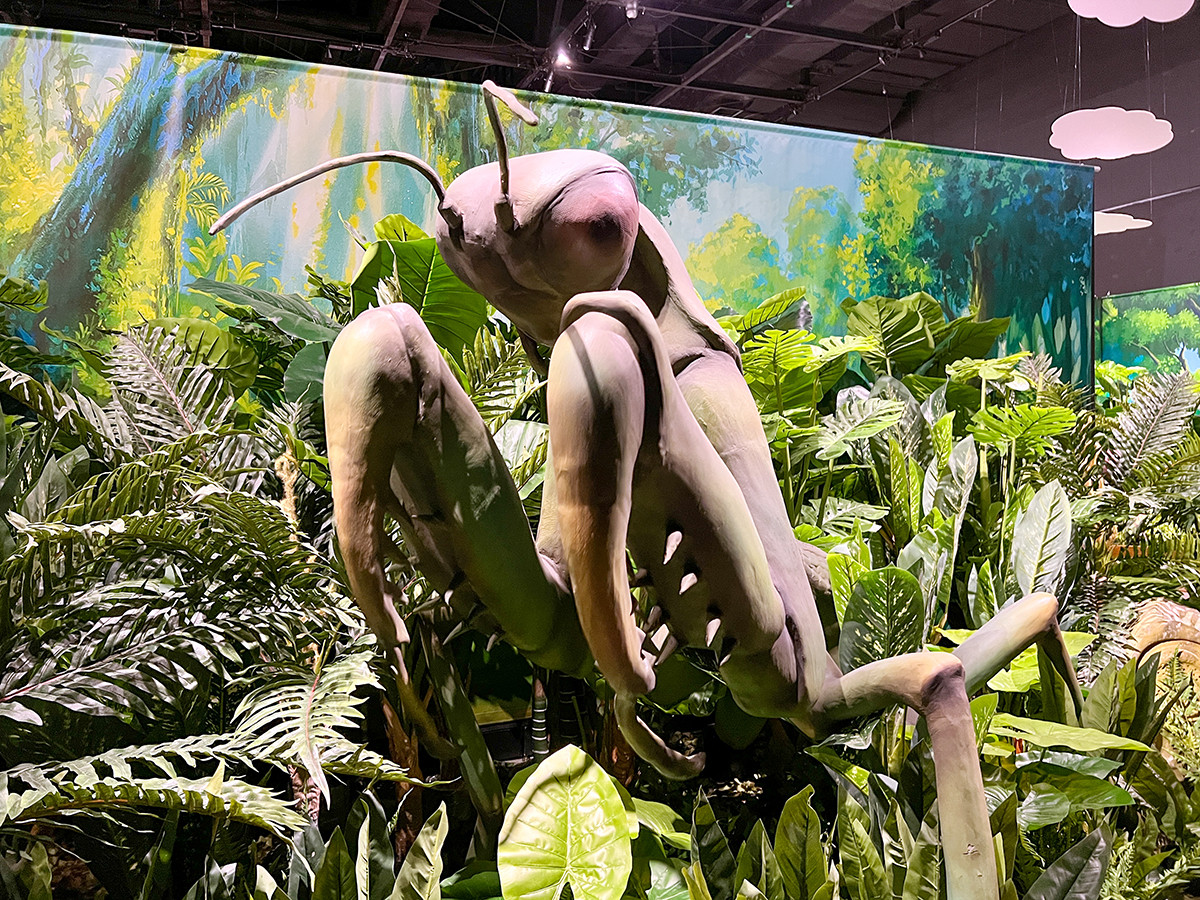 ファーブルに学ぶ!体感する昆虫展 TOKYO