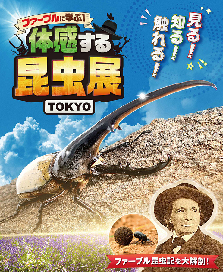 ファーブルに学ぶ！体感する昆虫展 TOKYO