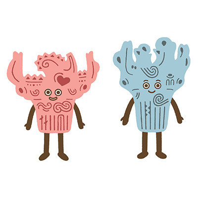 じょうもんじゃもん（新潟県立歴史博物館）