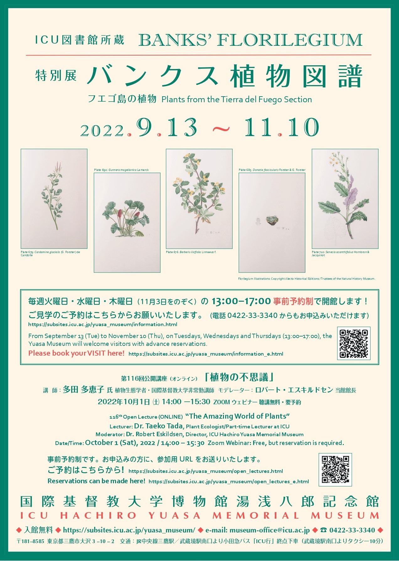 バンクス植物図譜　フエゴ島の植物