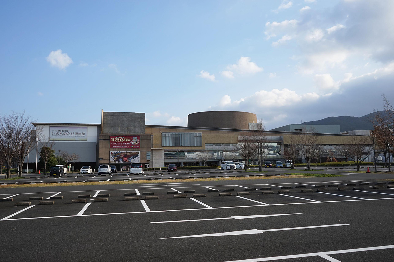 学芸員が選ぶ おすすめミュージアム [ 第25回 ] 島根県立三瓶自然館サヒメル → 北九州市立自然史・歴史博物館 アイエム