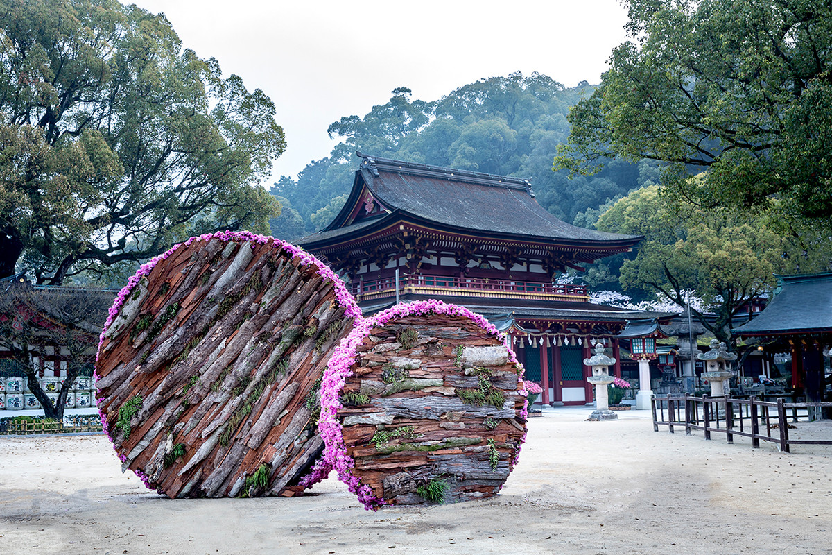 THE FLOWER BOX EXHIBITION IN DAZAIFU | 展覧会 | アイエム