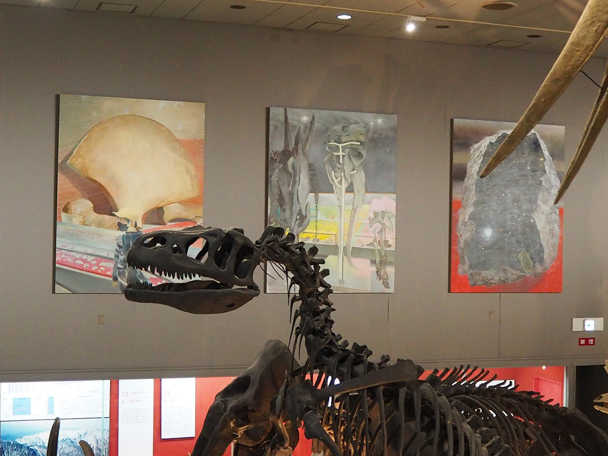 テーマ展示「田中秀介展:絵をくぐる 大阪市立自然史博物館」