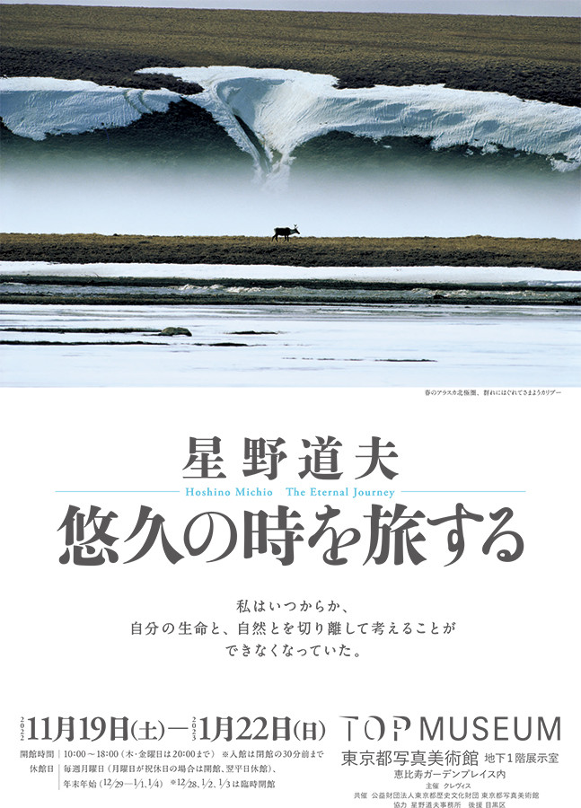 星野道夫 悠久の時を旅する
