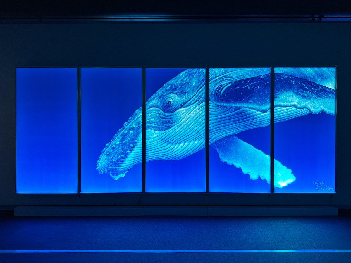 光の芸術家 ゆるかわふうの世界～宇宙（そら）の記憶