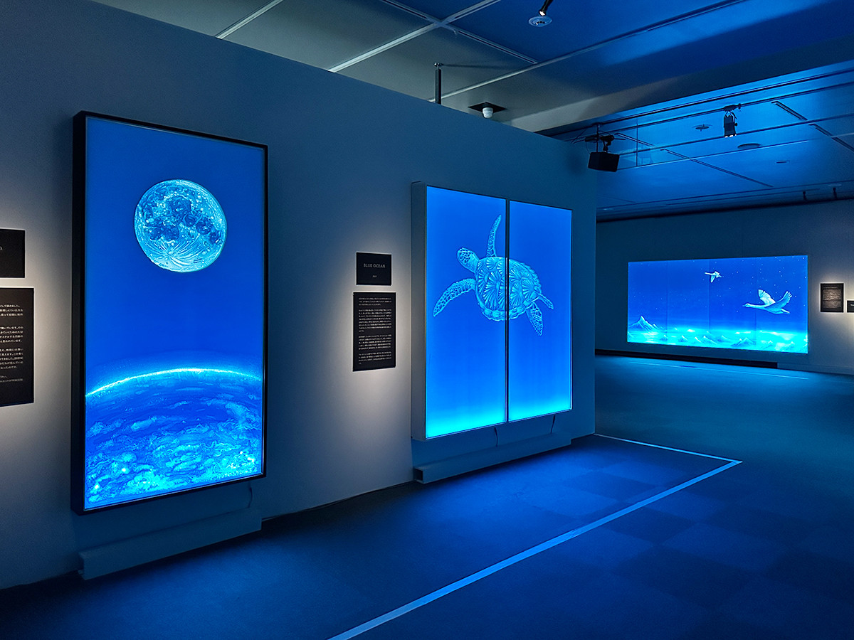 光の芸術家 ゆるかわふうの世界～宇宙（そら）の記憶