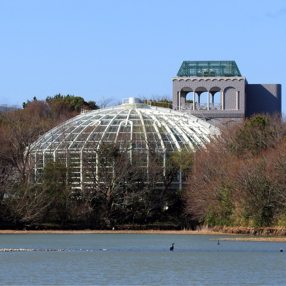 伊丹市昆虫館 美術館・博物館 アイエム[インターネットミュージアム]